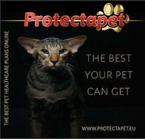 Cat advertising the best pet healthcare protection you can get in Spain is with Protectapet. 
